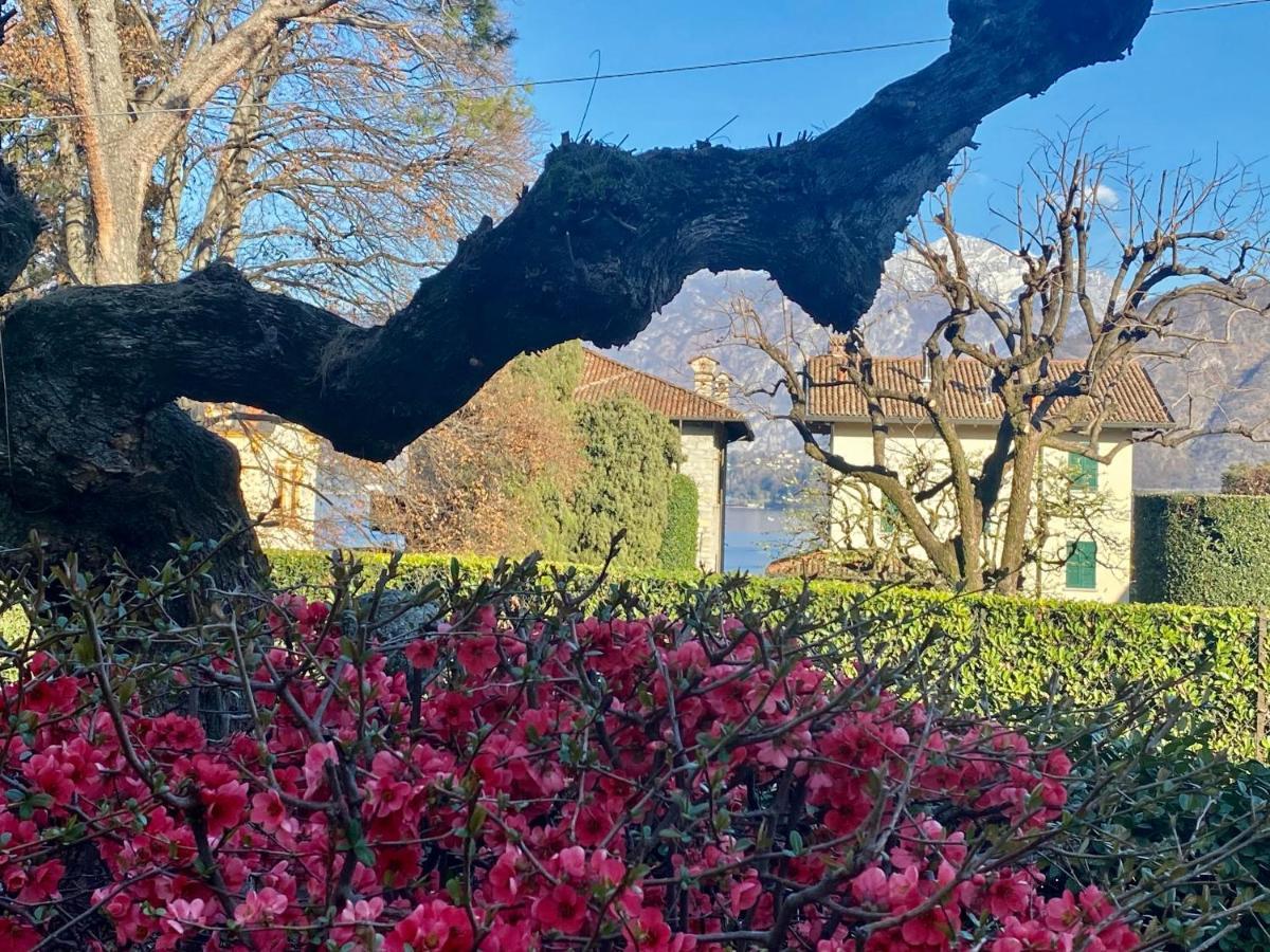Villa Magnolia - Lake Como Lenno Kültér fotó